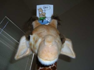 Dwight2